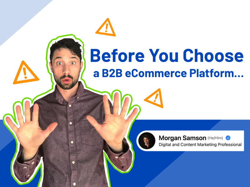 morgan image before you choose a b2b eCommerce platform